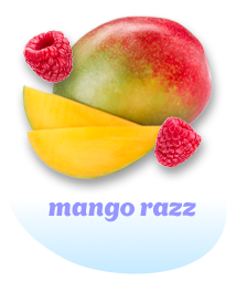 Berry Boost - EN